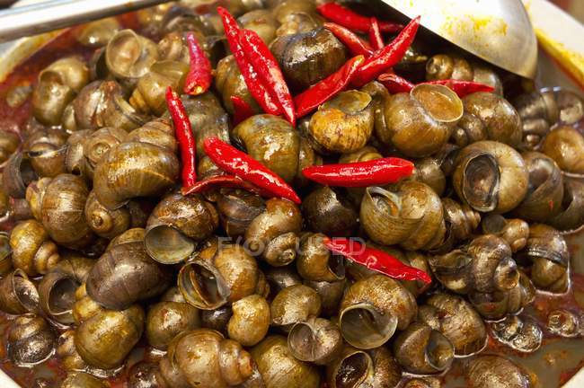Escargots avec Chili dans un plat avec cuillère — Photo de stock