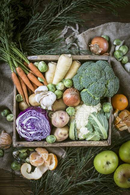 Vue du dessus de la caisse de légumes aux pommes et clémentines — Photo de stock