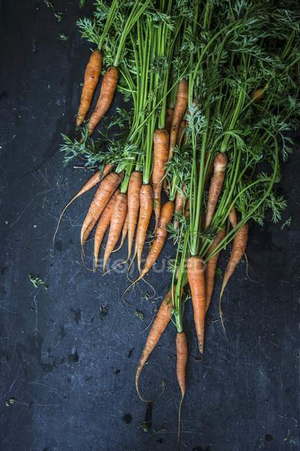 Zanahorias frescas recogidas con tapas - foto de stock
