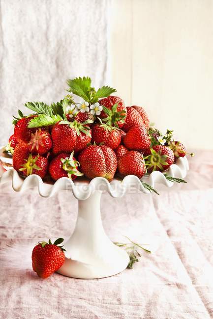 Erdbeeren mit Stielen und Blättern — Stockfoto