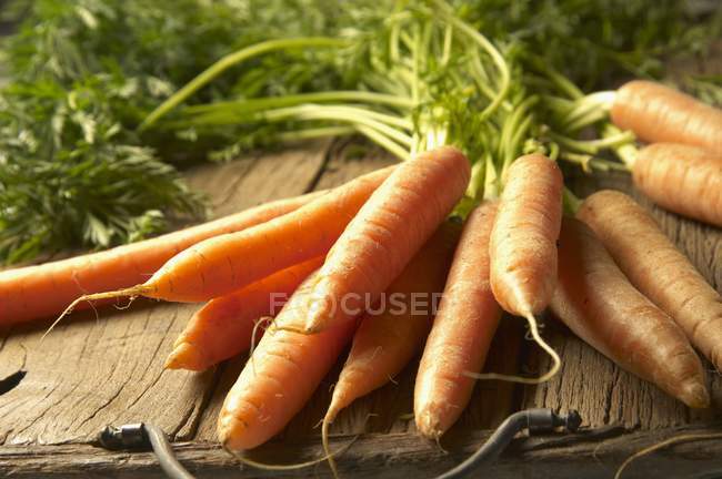 Свіжі стиглі морква — стокове фото