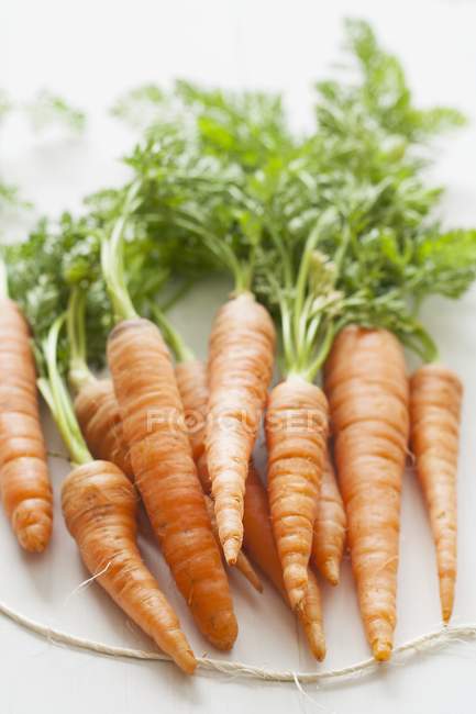 Organic carrots with stems — Stock Photo