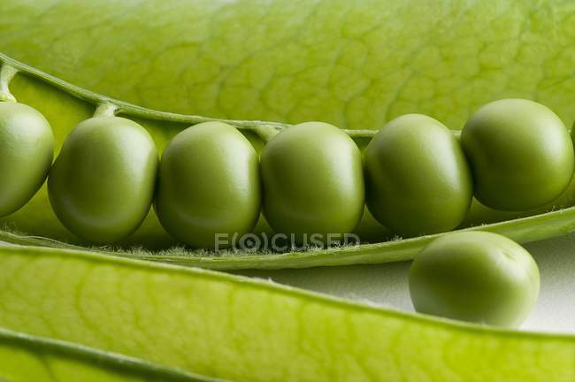 Ervilhas frescas em vagem aberta — Fotografia de Stock