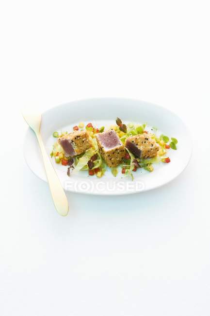 Poisson thon sur légumes — Photo de stock