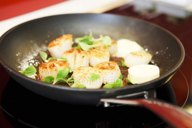 Closeup view of scallops with field thyme, salt and butter in pan — Stock Photo