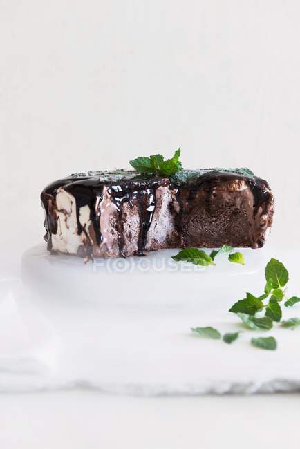 Gâteau à la crème glacée au chocolat menthe — Photo de stock