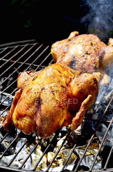 Polli sul barbecue fumante — Foto stock