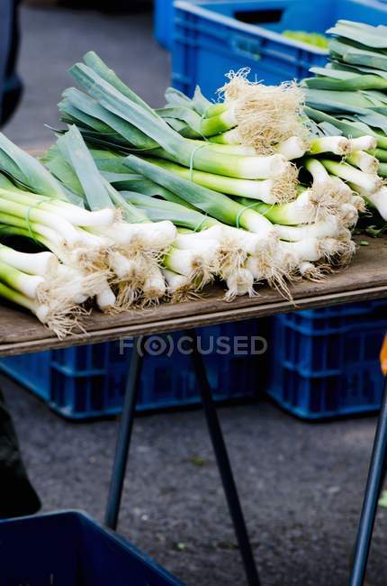 Bundles of fresh leeks — Stock Photo