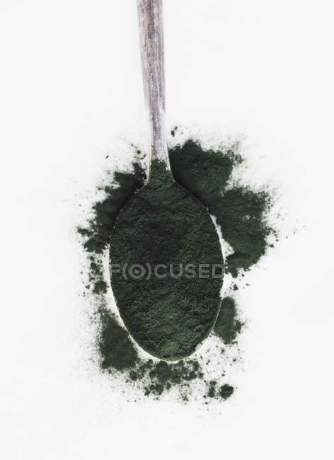Spoonful of spirulina powder — Stock Photo