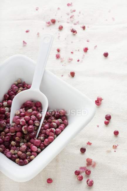Sauco berries in a scoop — Stock Photo