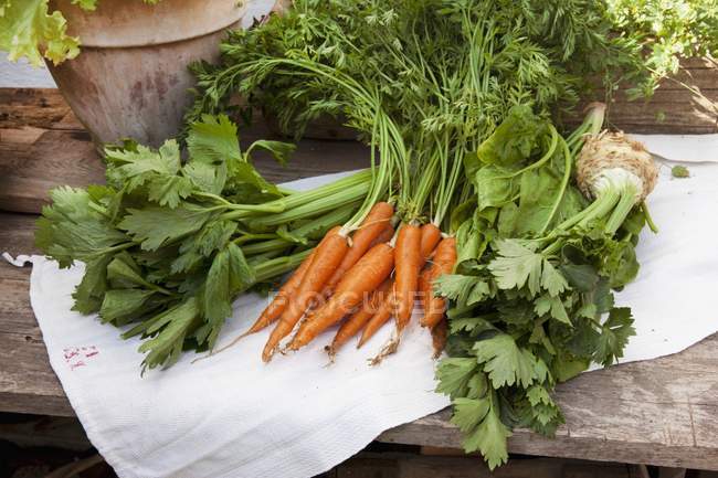 Produtos hortícolas e verduras orgânicos — Fotografia de Stock