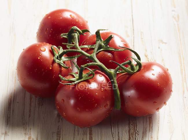 Щойно промивають помідори — стокове фото