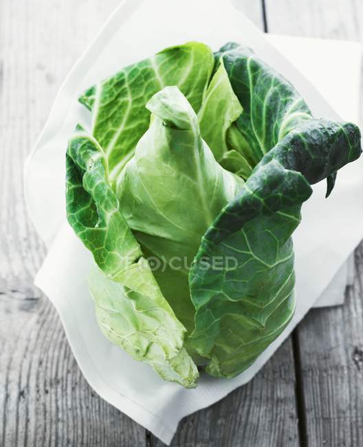 Fresh Pointed cabbage — Stock Photo