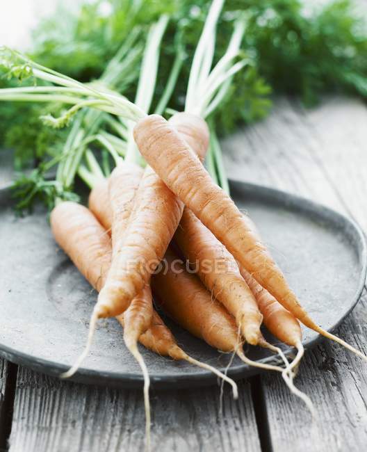 Grupo de cenouras com topos — Fotografia de Stock