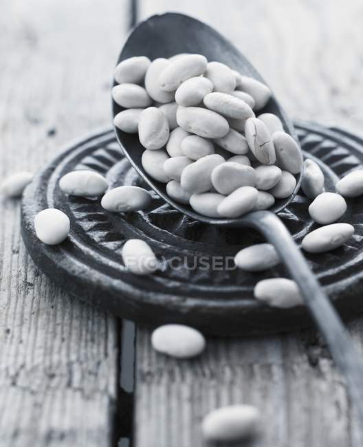 Feijões brancos secos com colher — Fotografia de Stock