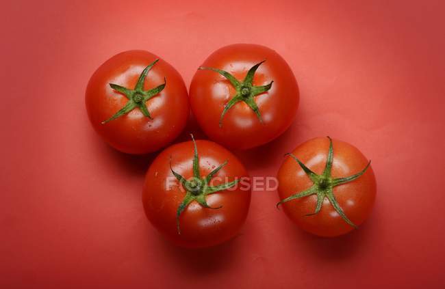 Cuatro tomates rojos - foto de stock
