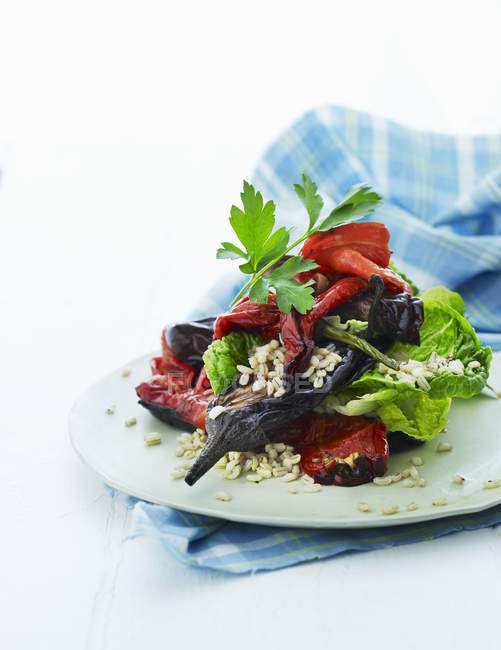 Grilled vegetable salad with barley on plate over towel — Stock Photo