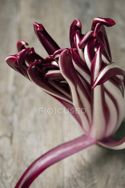 Radicchio on a wooden table — Stock Photo