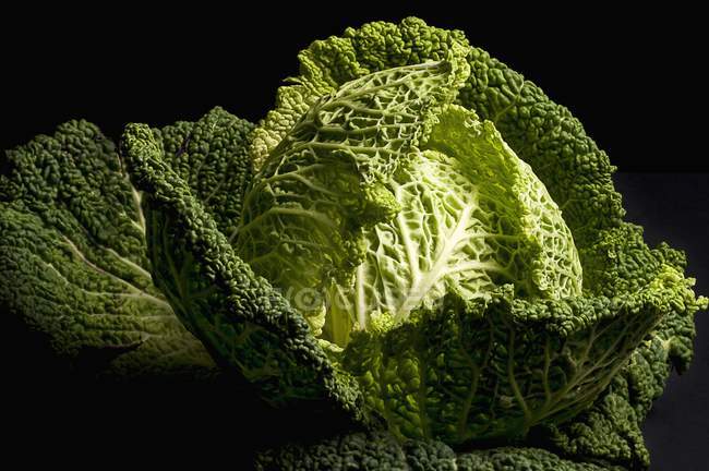 Fresh Savoy Cabbage — Stock Photo