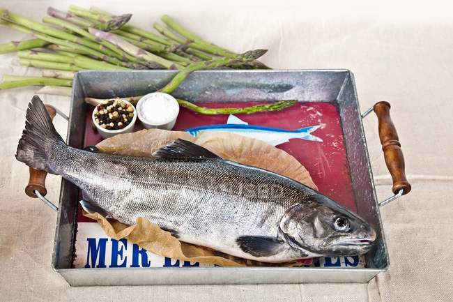Whole salmon on a tray with salt — Stock Photo