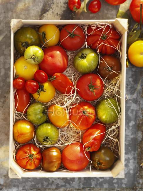 Caisse de tomates colorées — Photo de stock