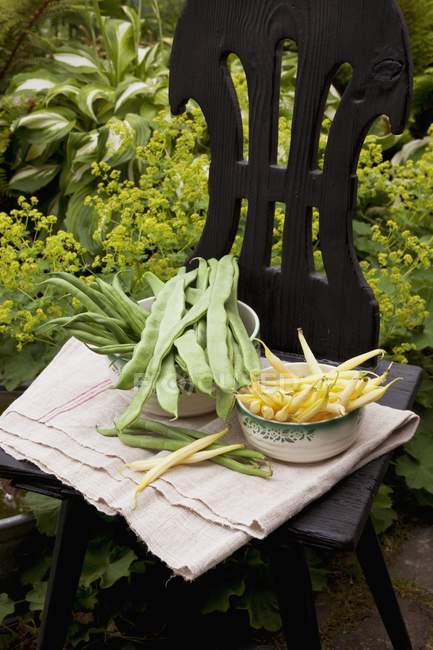 Фасоль, восковая фасоль и зеленая фасоль на стуле в саду — стоковое фото