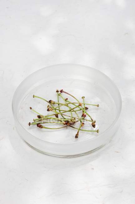 Vista close-up de hastes de cereja em tigela de vidro na superfície branca — Fotografia de Stock