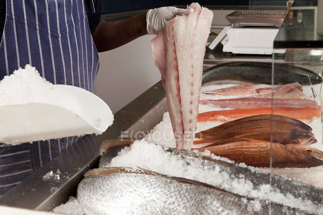 Man holding cod fillet — Stock Photo