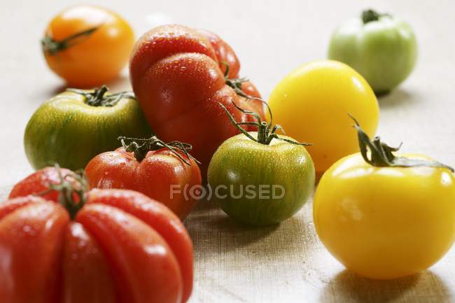 Барвисті мокрій реліквія з помідорів — стокове фото