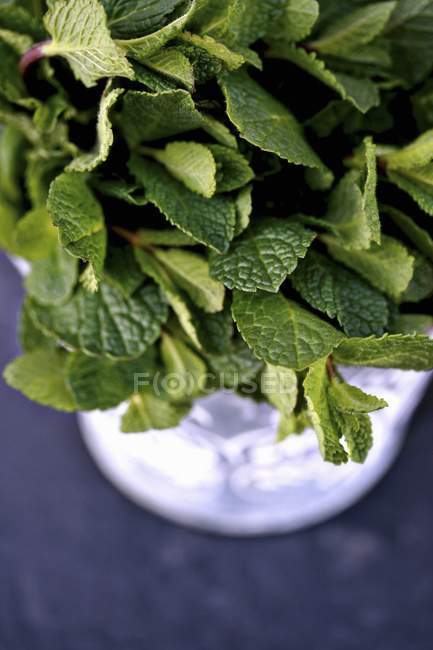Fresh mint in glass of water — Stock Photo