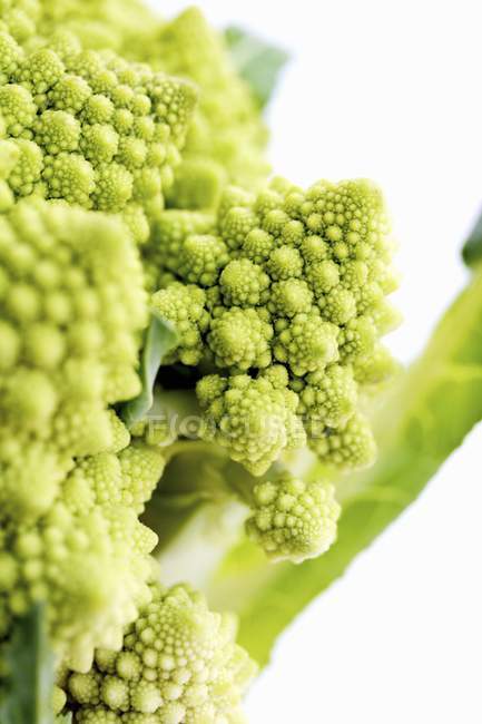 Fresh Romanesco broccoli — Stock Photo