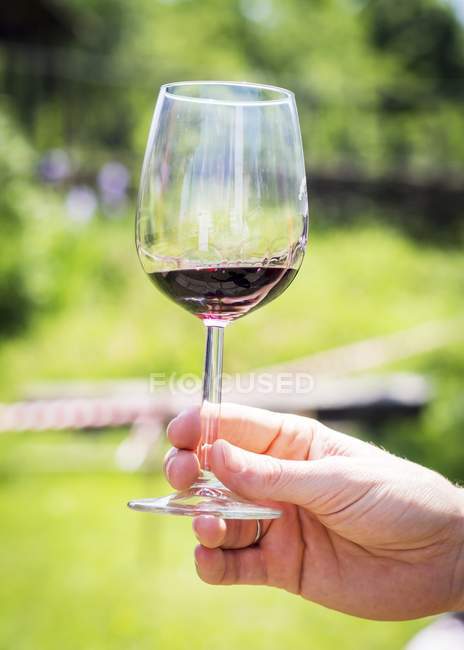 Mão segurando copo de vinho tinto — Fotografia de Stock