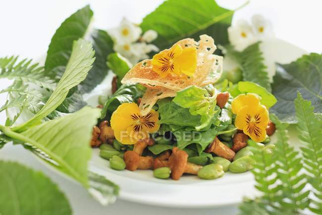 Смешанный салат из листьев с грибами шантерель — стоковое фото