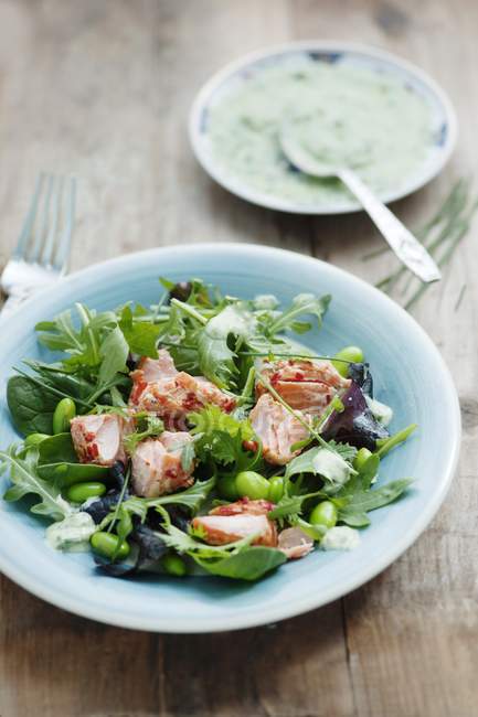 Салат из листьев с горячим копченым лососем — стоковое фото