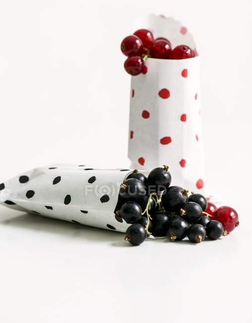 Blackcurrants and redcurrants in paper bags — Stock Photo