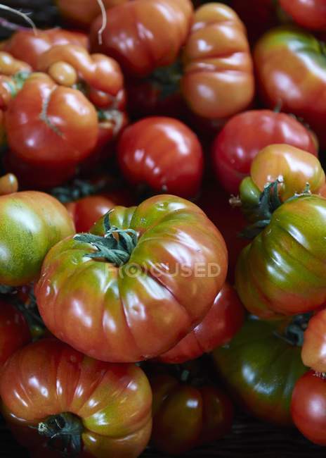 Tomates ecológicos frescos - foto de stock