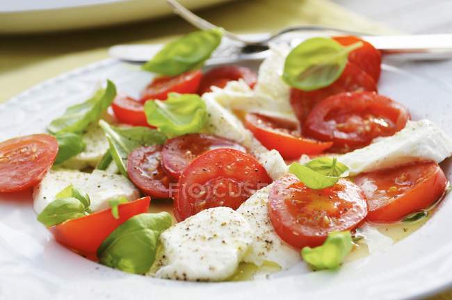 Капрезский салат с сыром — стоковое фото