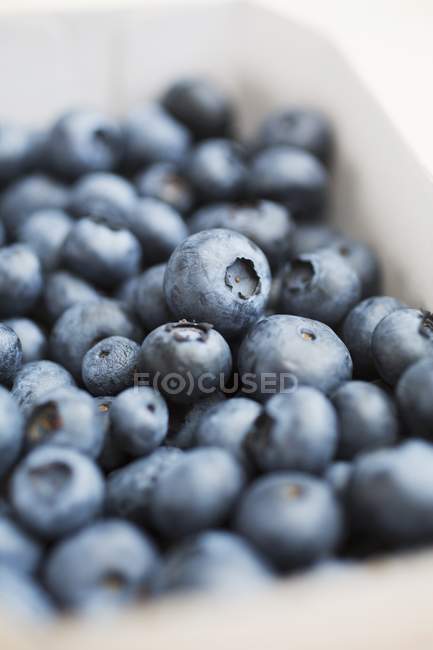 Ripe Blueberries in container — Stock Photo