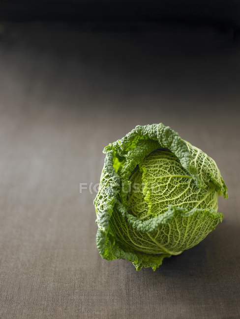 Fresh Savoy cabbage — Stock Photo