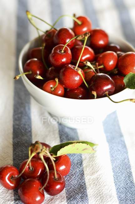 Cherries in white porcelain bowl — Stock Photo