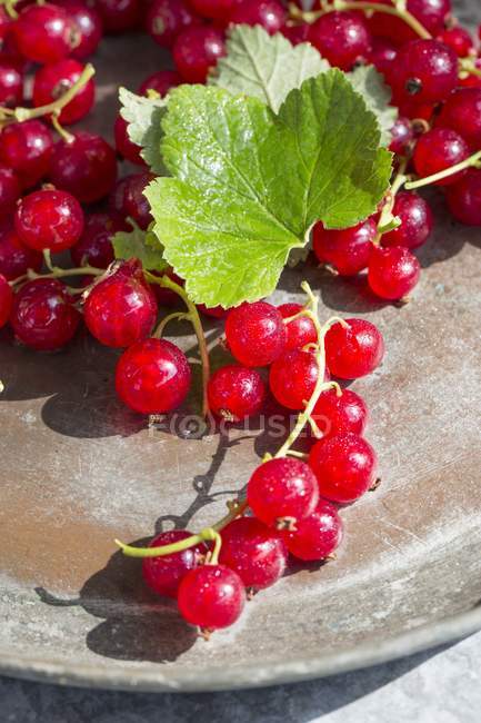 Fresh redcurrants with leaf — Stock Photo