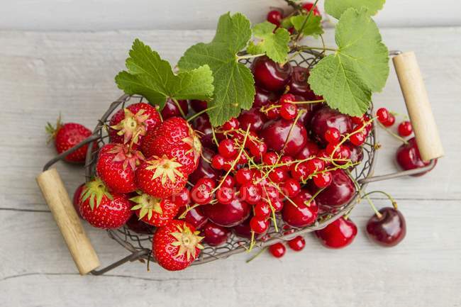 Fresas frescas y grosellas rojas - foto de stock