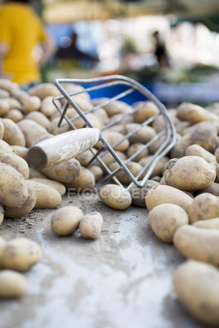 Patatas frescas crudas - foto de stock