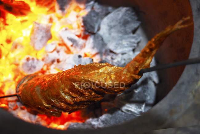 Vista de perto de um peixe Tandoori em um espeto sobre carvões brilhantes — Fotografia de Stock