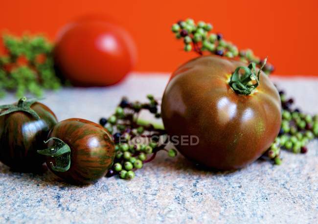 Зебра помідори й виноград перцю — стокове фото