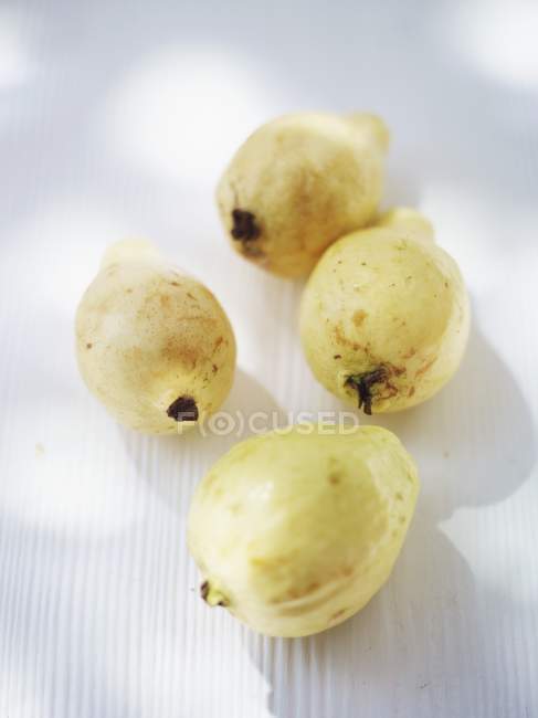 Guaiave fresche mature — Foto stock