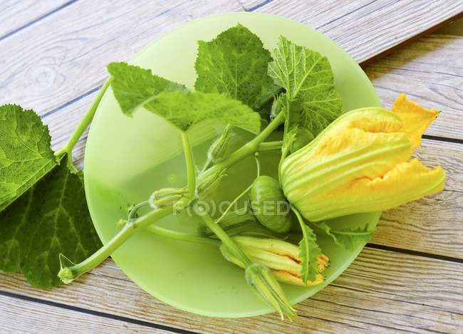 Squash flowers on wooden surface — Stock Photo