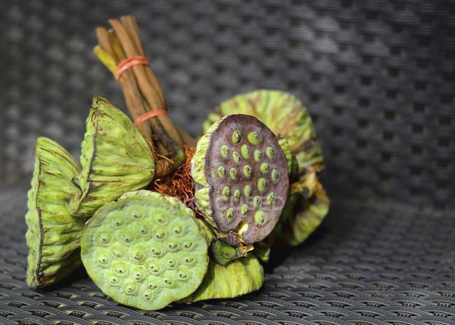 Closeup view of lotus seeds in a lotus fruit — Stock Photo