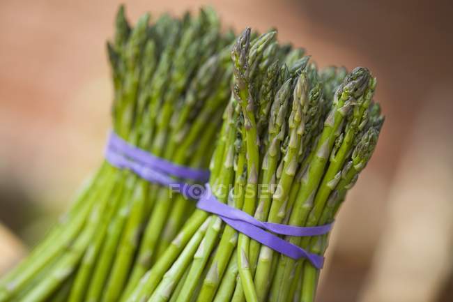 Mazzi di asparagi verdi — Foto stock