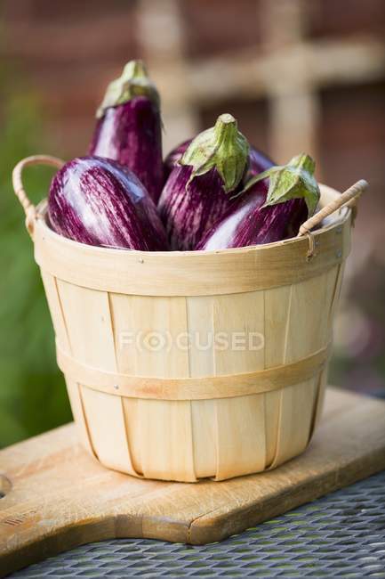 Fresh Striped aubergines — Stock Photo